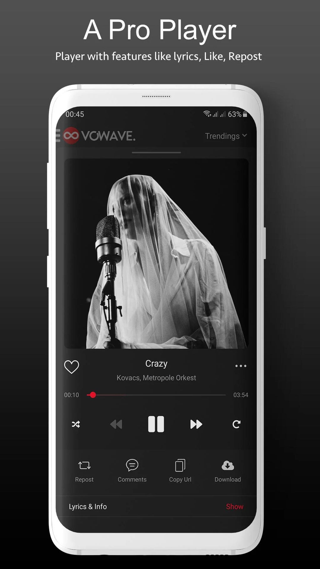 Music Social Network & Streaming Platform SaaS (Android)