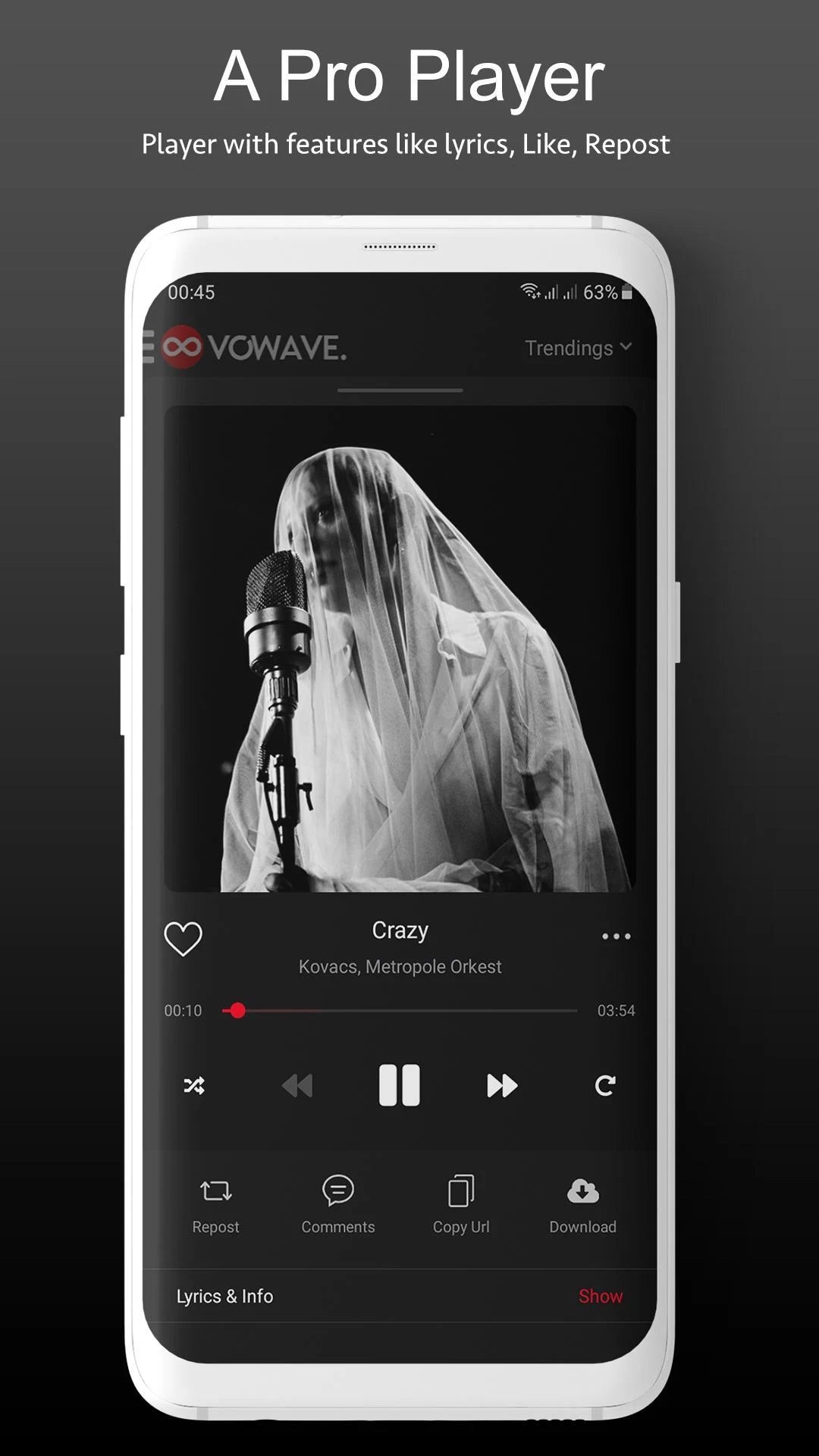 Music Social Network & Streaming Platform SaaS (Android)