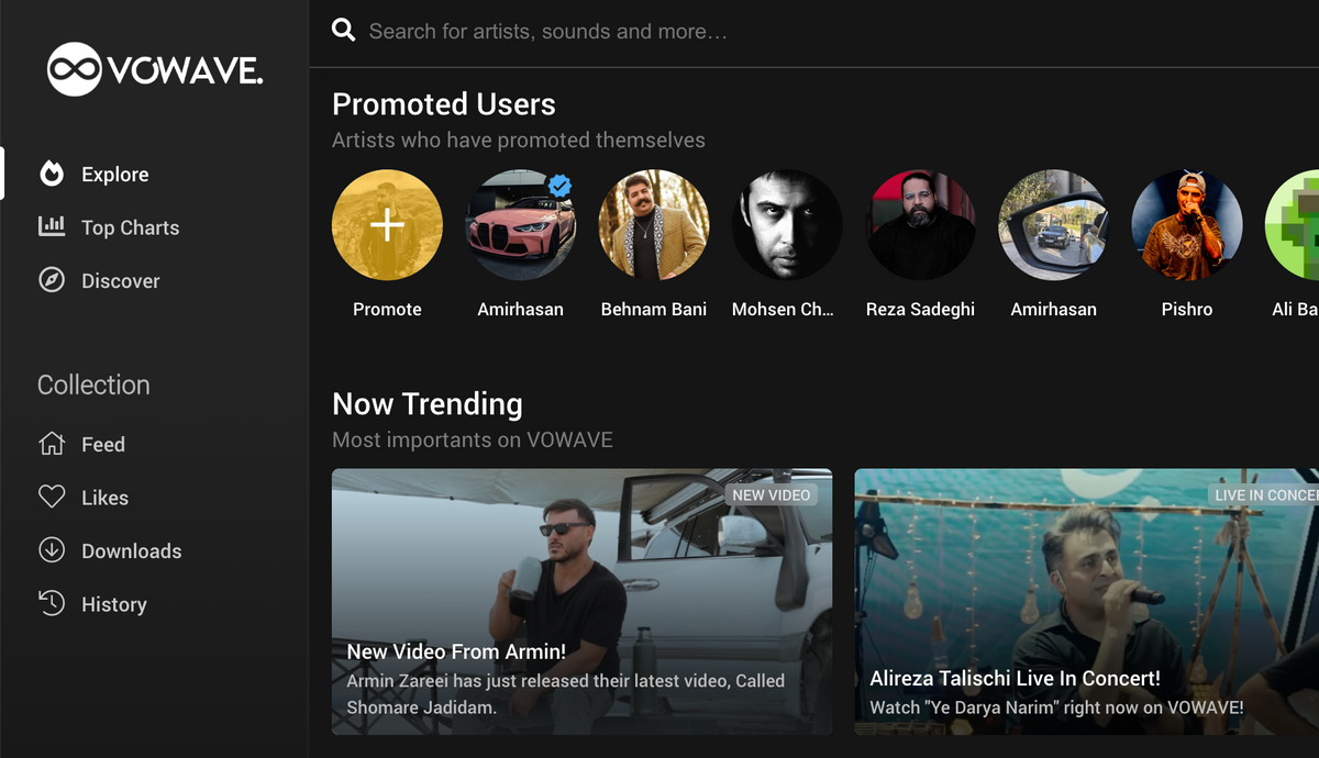 Music Social Network & Streaming Platform SaaS (Web App)