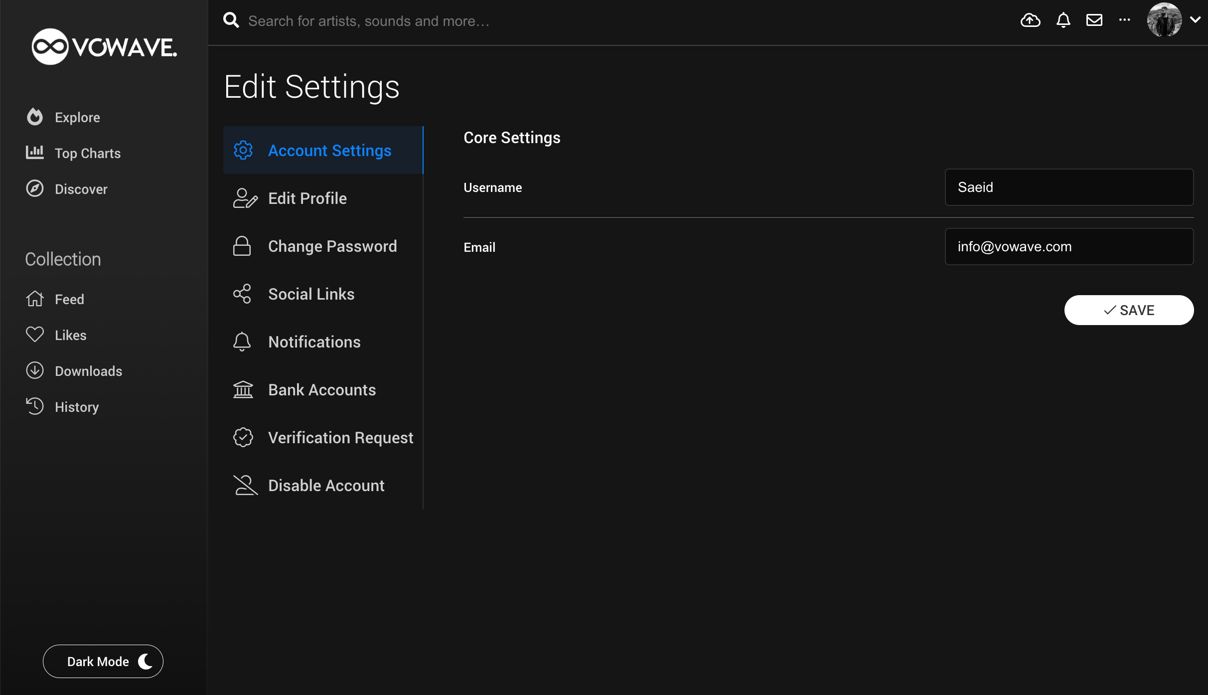 Music Social Network & Streaming Platform SaaS (Web App)